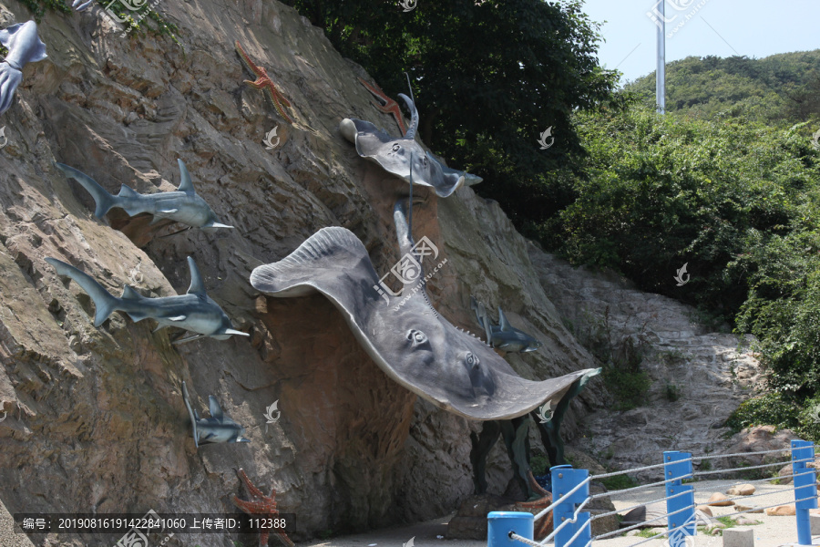 海之韵公园海底世界海洋生物