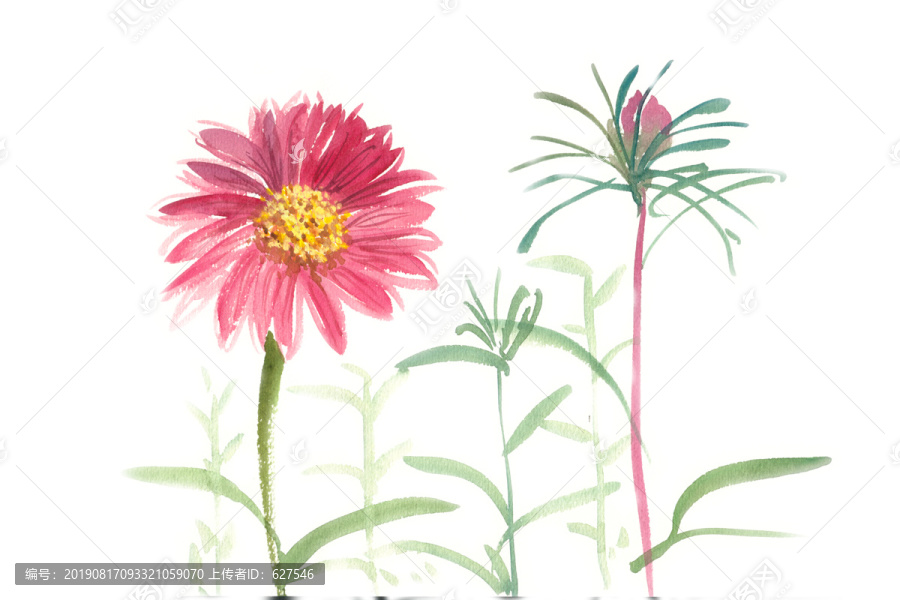 水彩花卉綻放的紅花