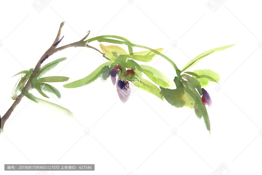水彩植物綠色的石斛