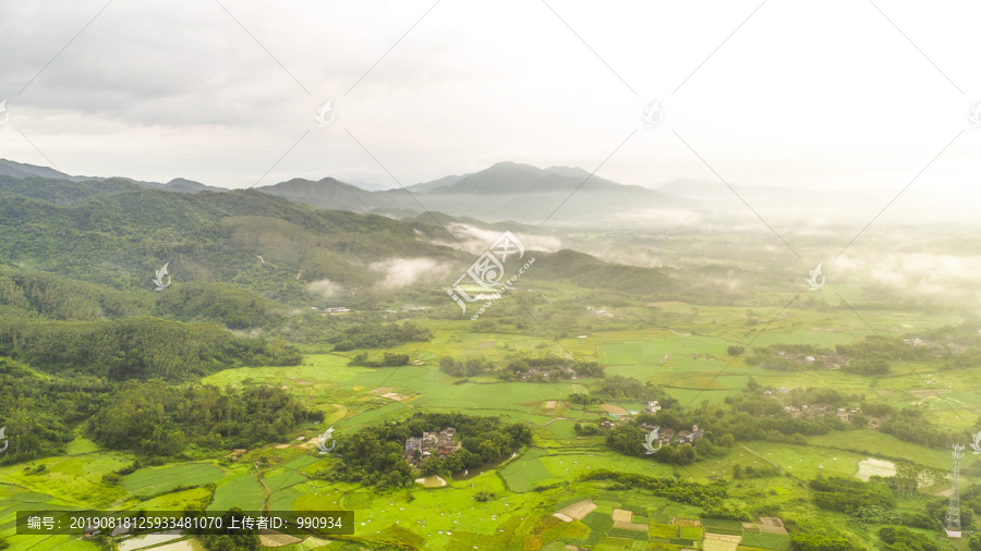 田野