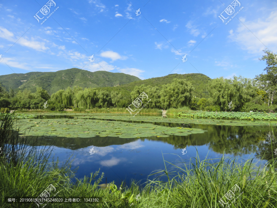 绿树蓝天