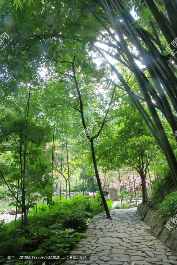 重庆酉阳桃花源