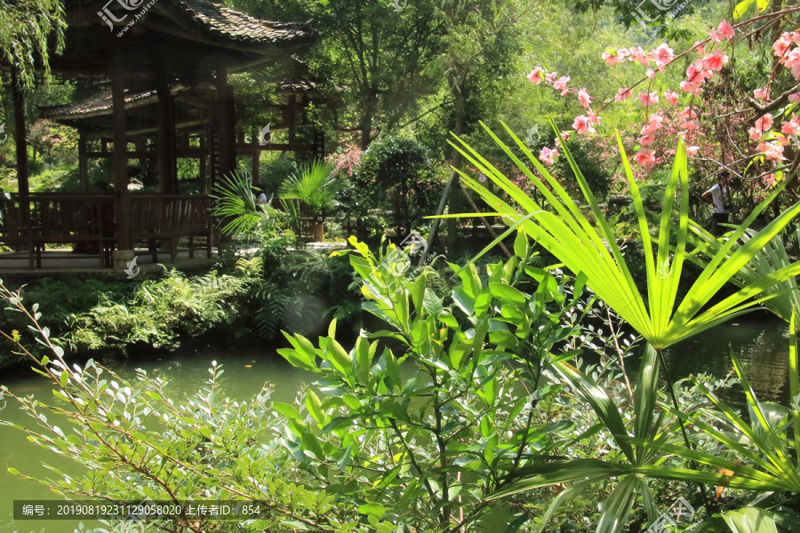 重庆酉阳桃花源