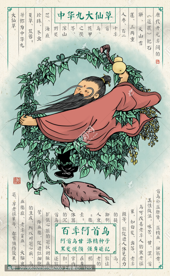 何首烏