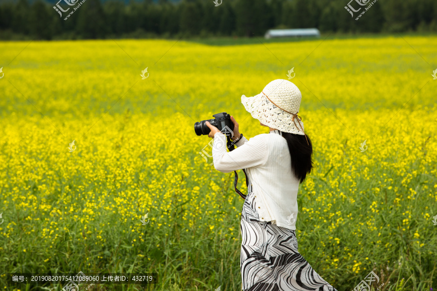 油菜花白衣女人