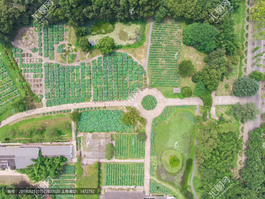 武汉东湖磨山风景区夏日航拍风光