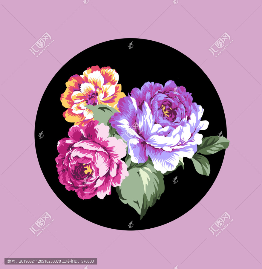 牡丹花卉