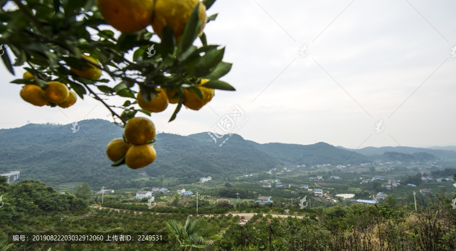 山村