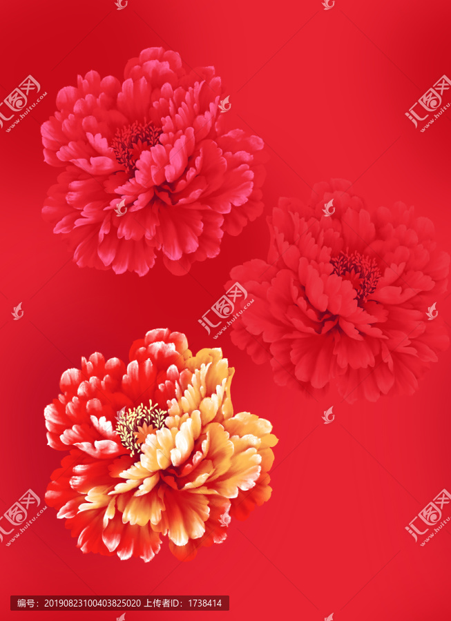 喜慶牡丹花頭
