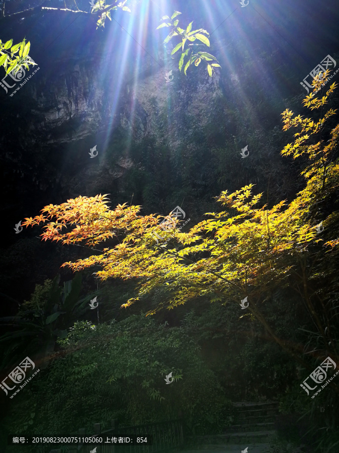 重庆酉阳桃花源