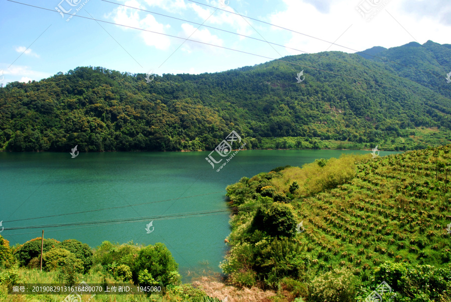 青山绿水