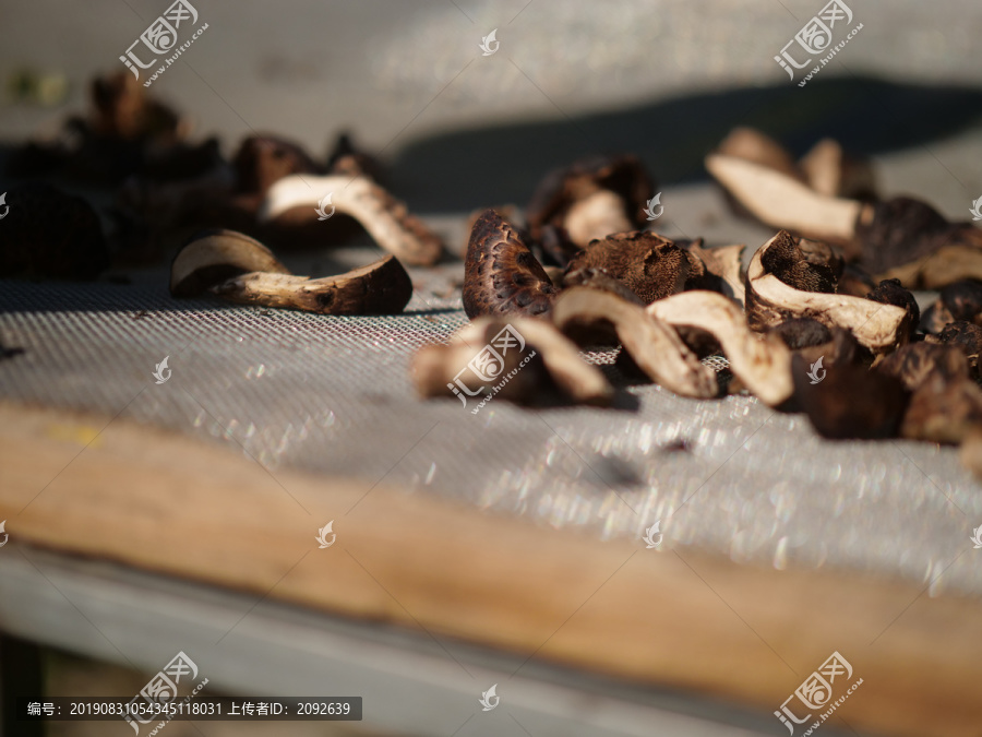 野蘑菇干摊晾晒干