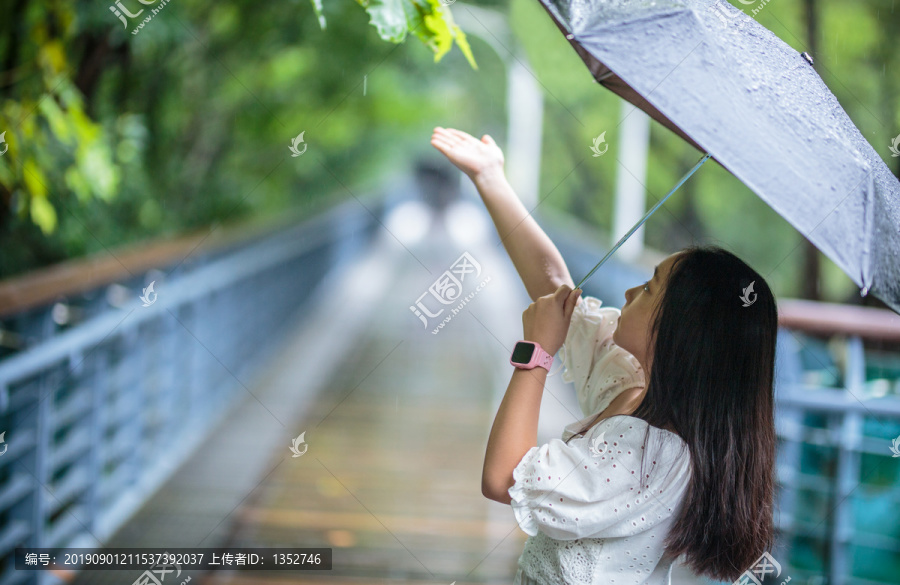 雨中撑伞的少女