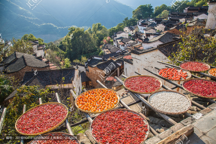 江西婺源村落风景