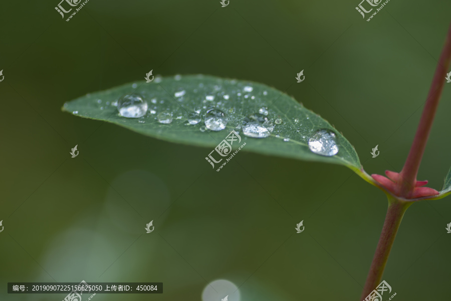 雨水