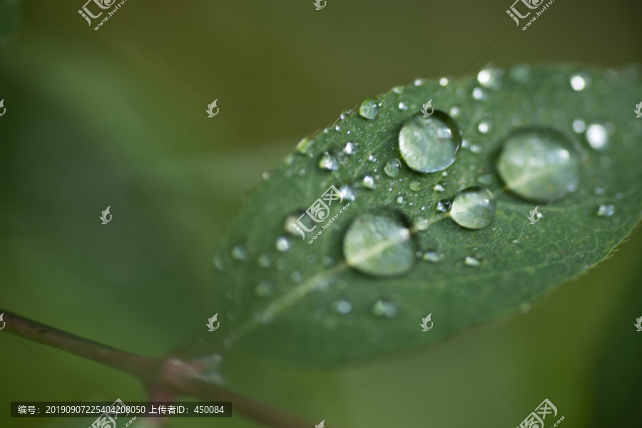 雨水