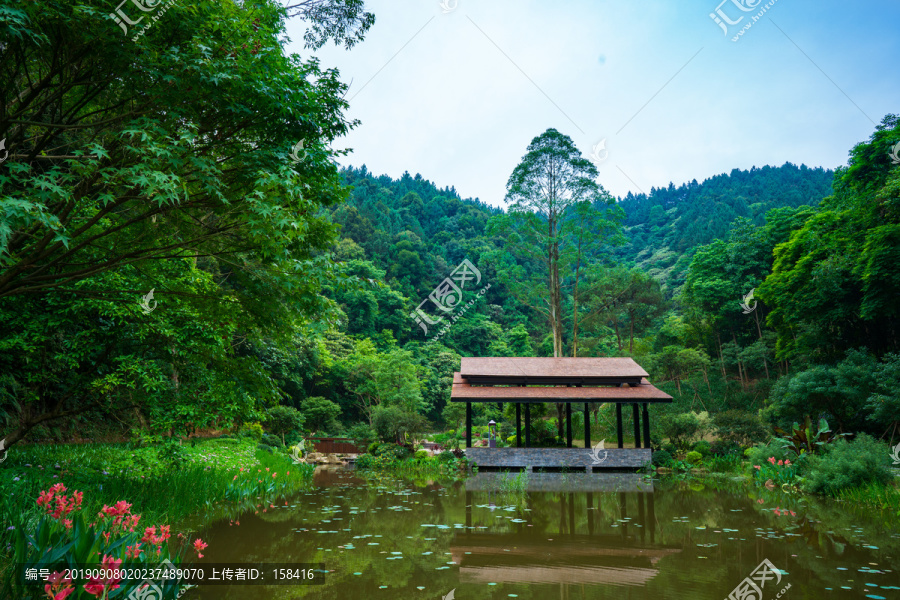 广西高峰森林公园