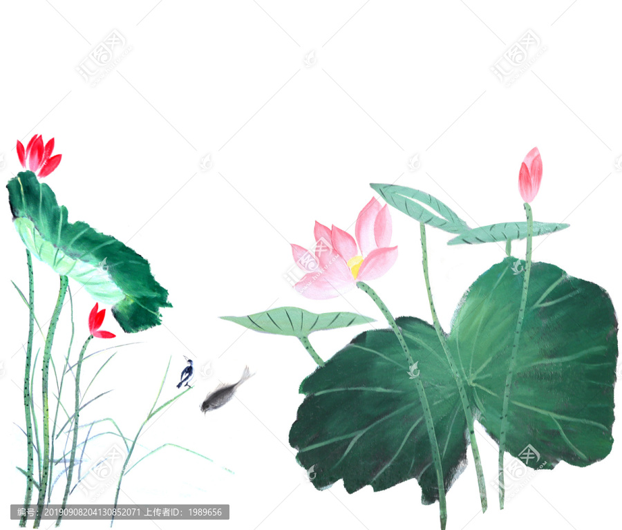 水墨荷韻