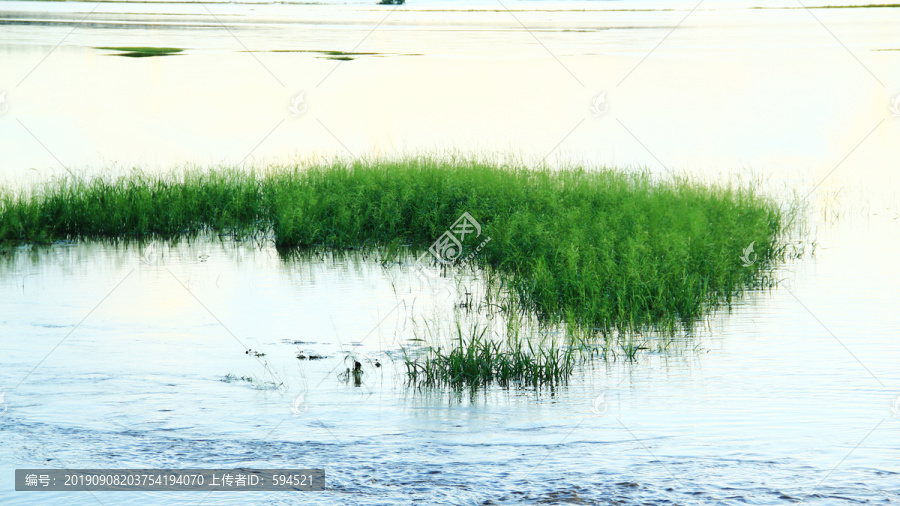 呼伦贝尔湿地日落美景