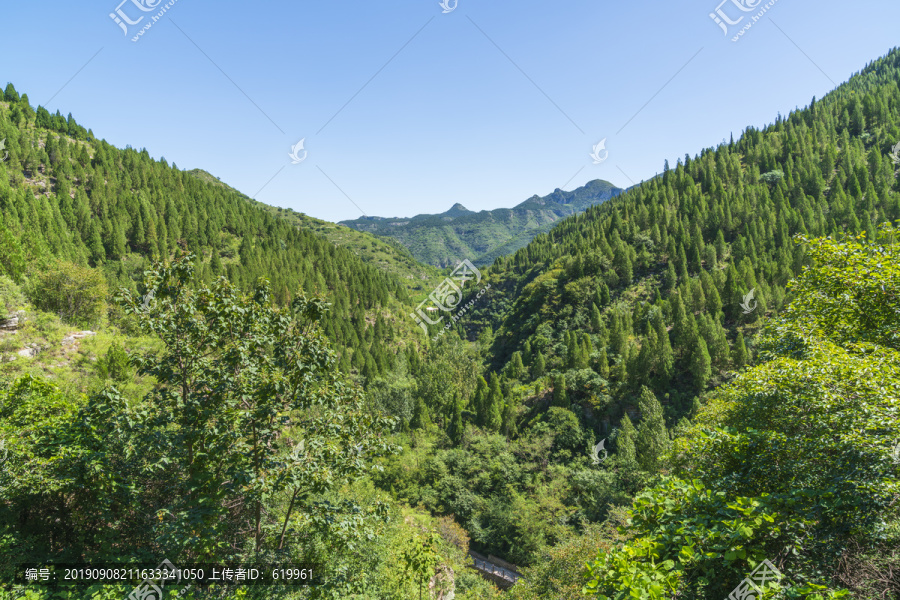 青山