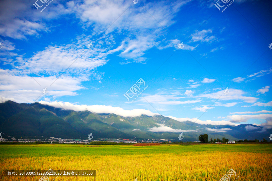 乡村风景