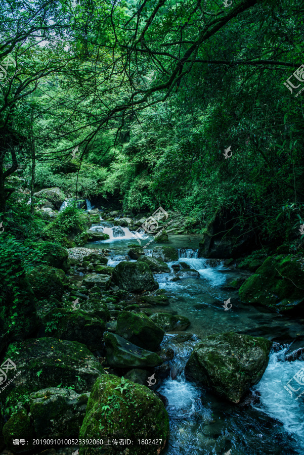 青城后山景区