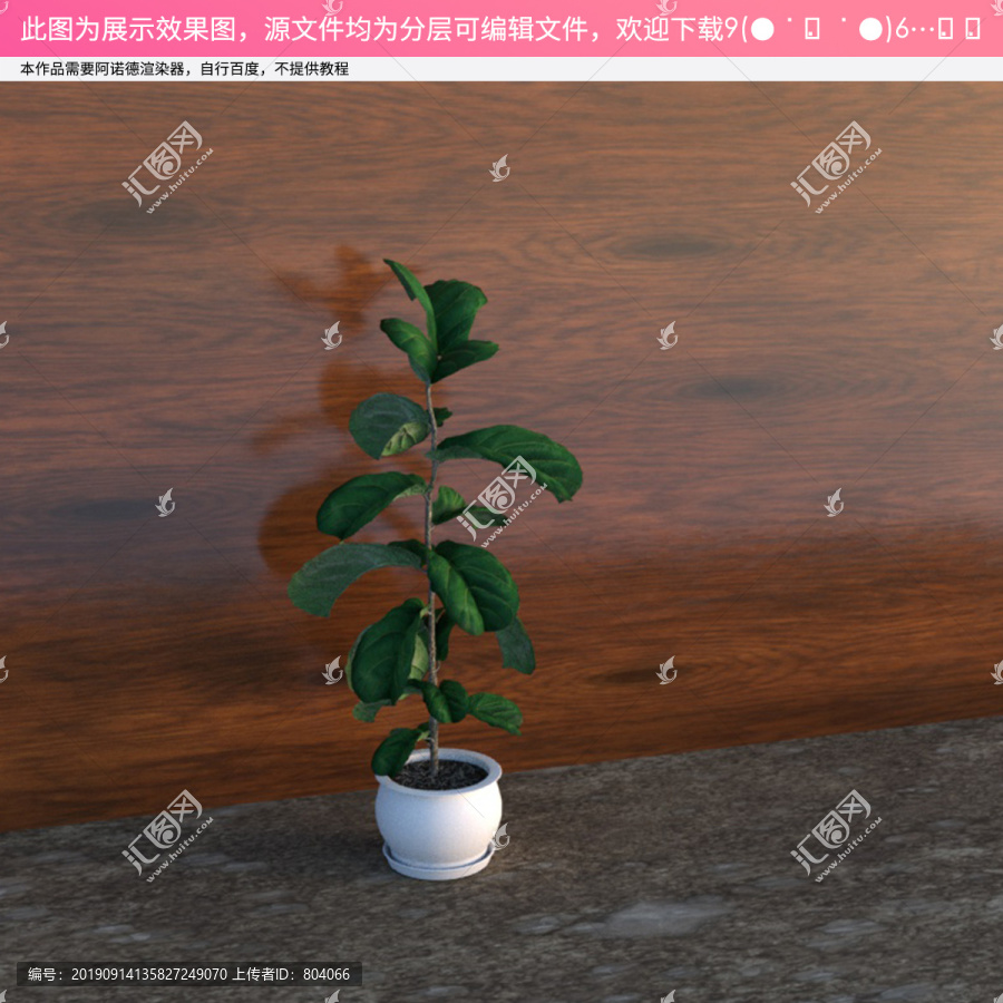 C4D盆栽模型