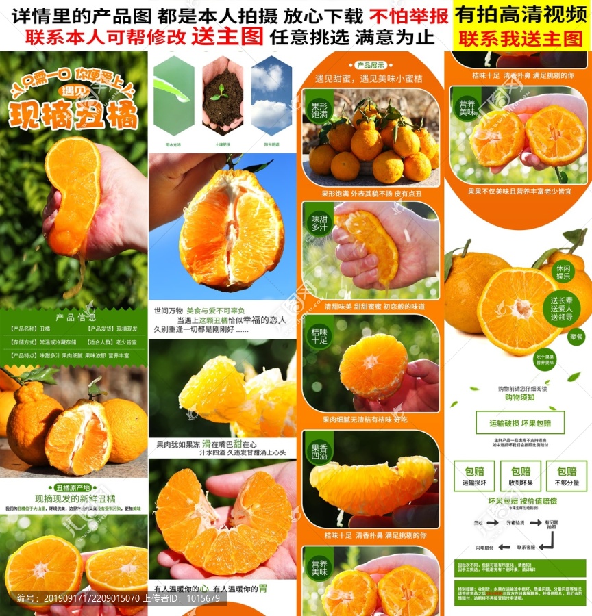 丑橘詳情
