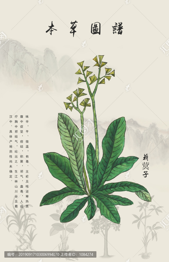 菥蓂子