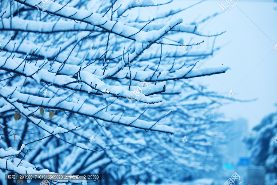 雪后杭城