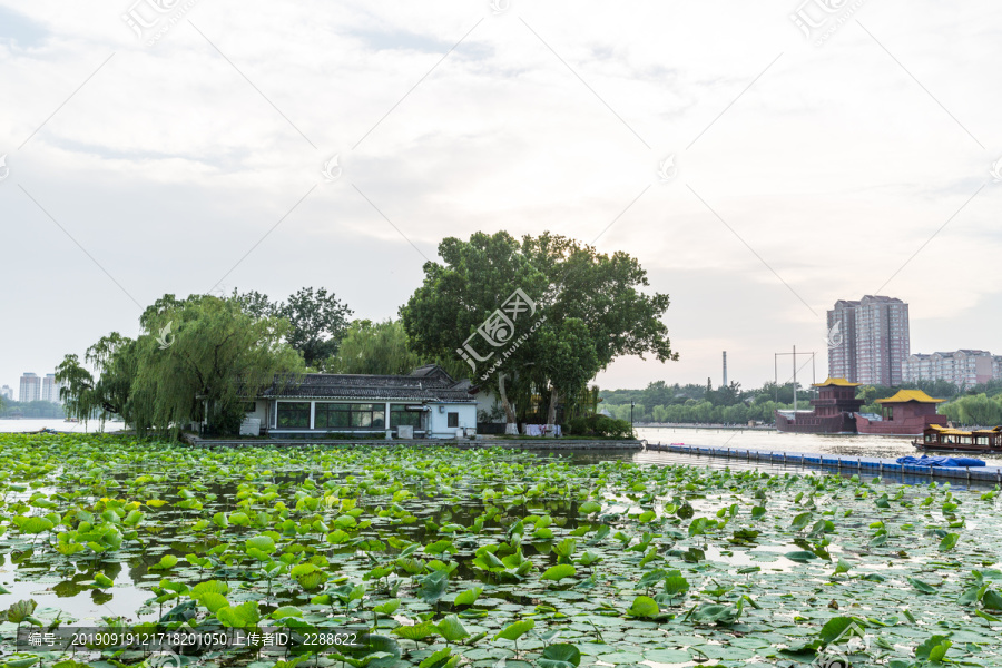 大明湖