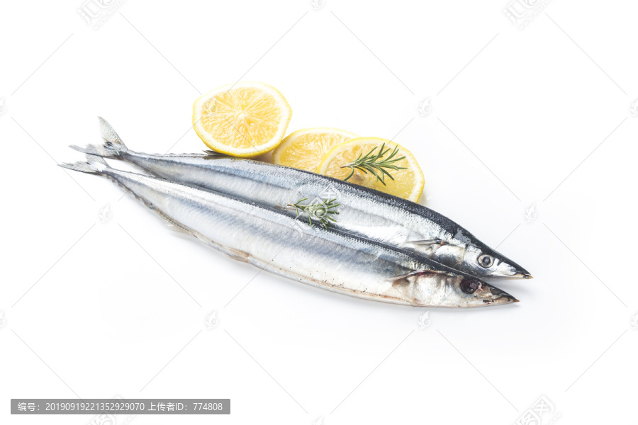 新鮮秋刀魚