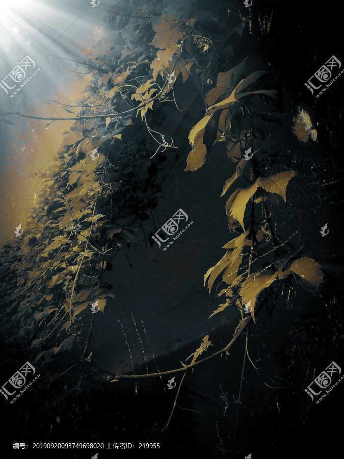 植物墻