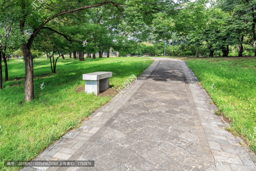 晋祠公园林荫道