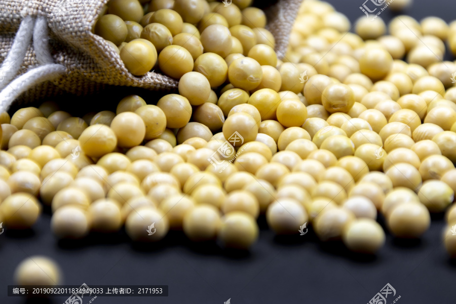 有机黄豆