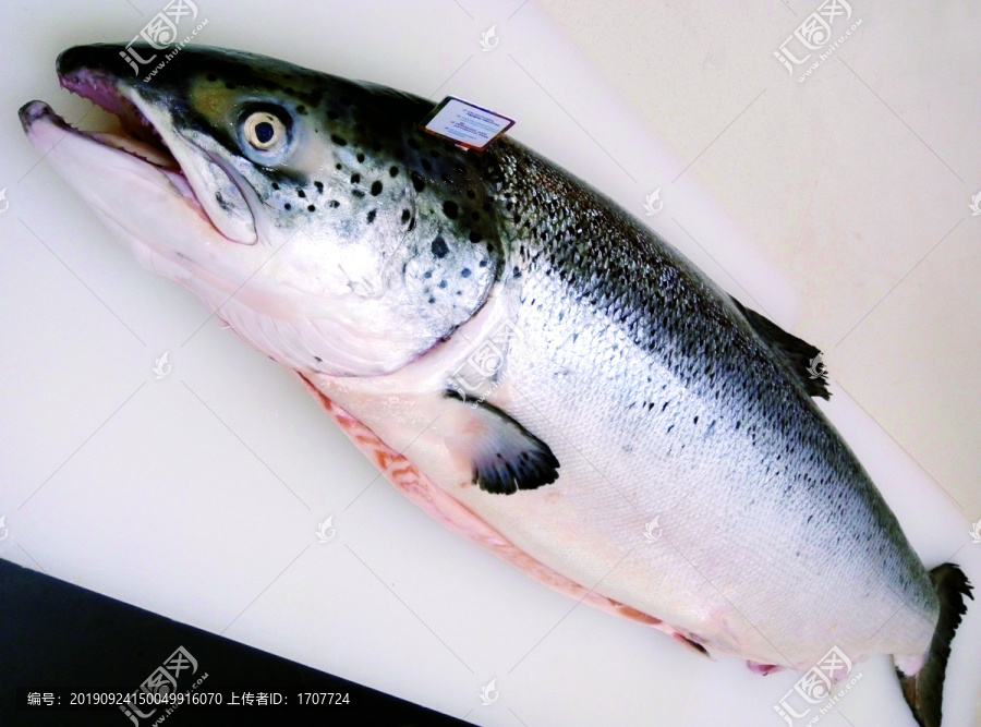 鮮切三文魚