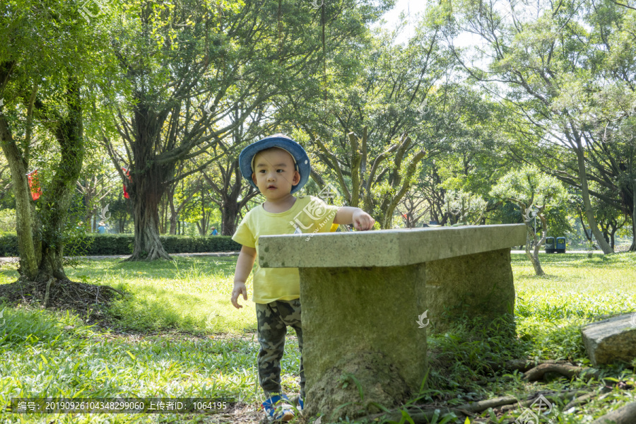 孩子在树林中玩耍