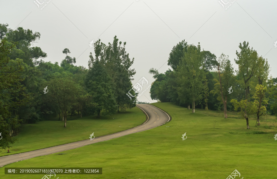 高尔夫球场园林绿草地蜿蜒公路