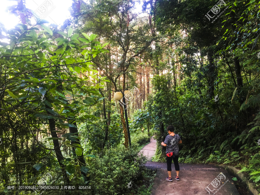 森林公园登山道