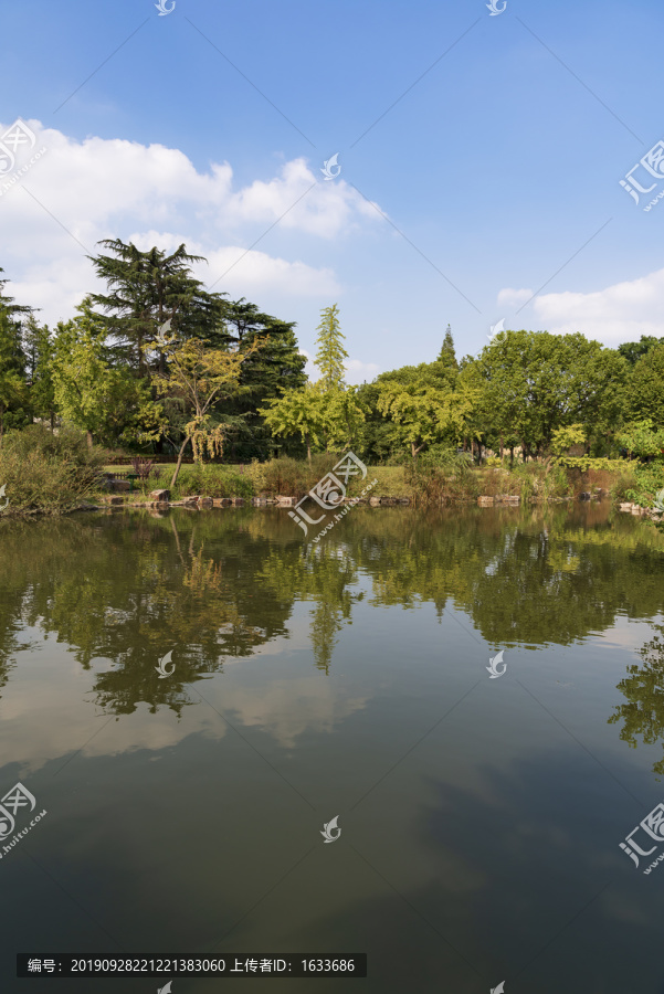 池塘秋景