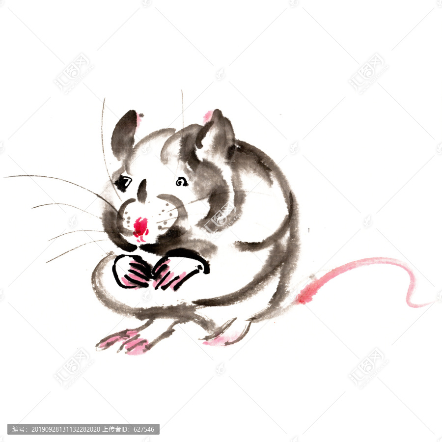 生肖动物可爱的鼠