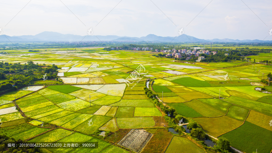 田园