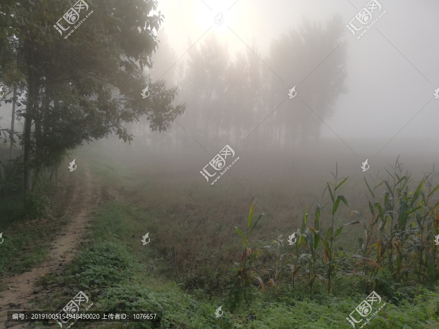 田园风景