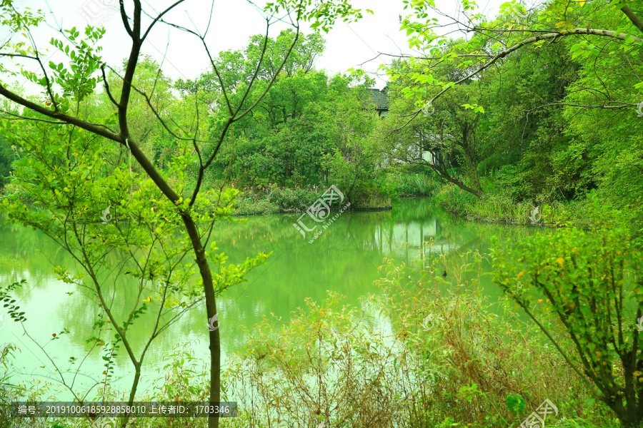 杭州西溪湿地