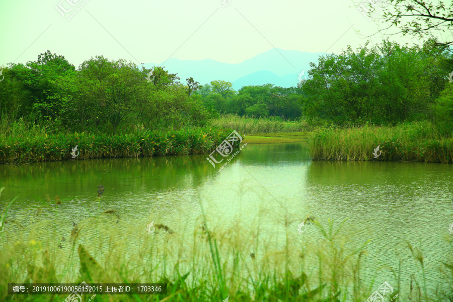 杭州西溪湿地