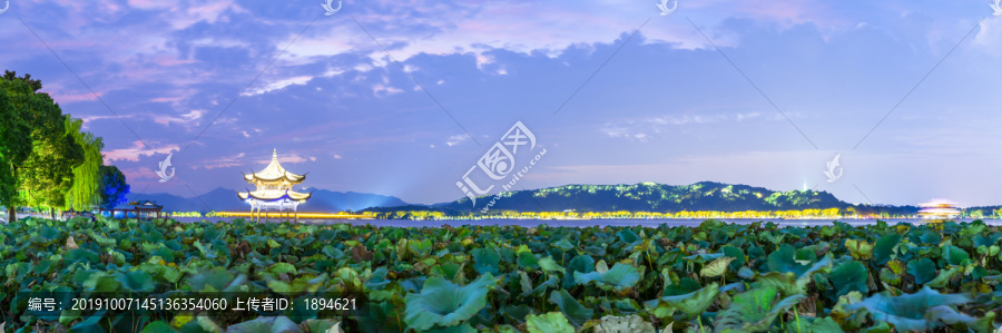 杭州西湖夜景全景图