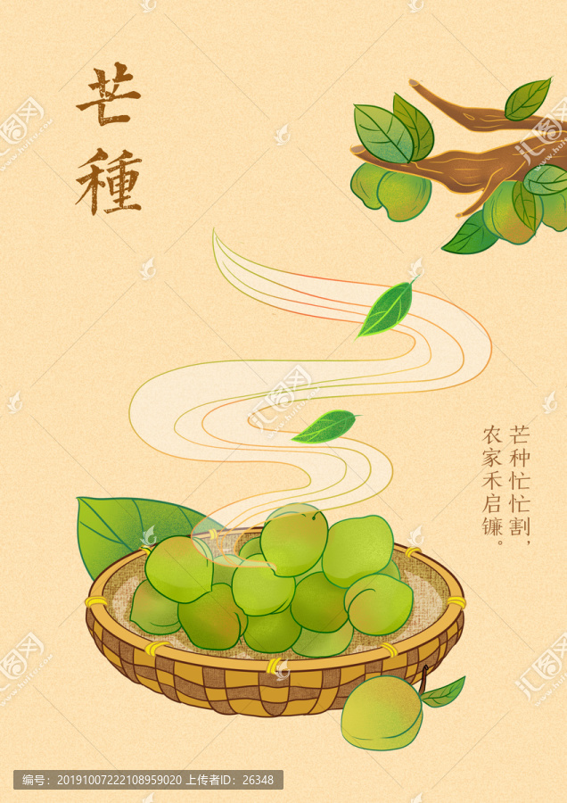 24節(jié)氣手繪插畫芒種
