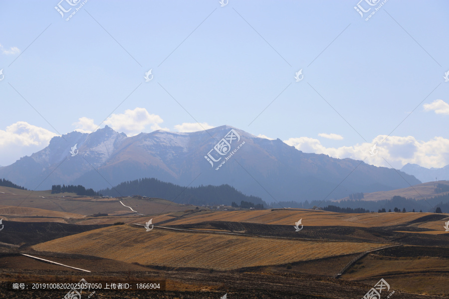 江布拉克美丽风景