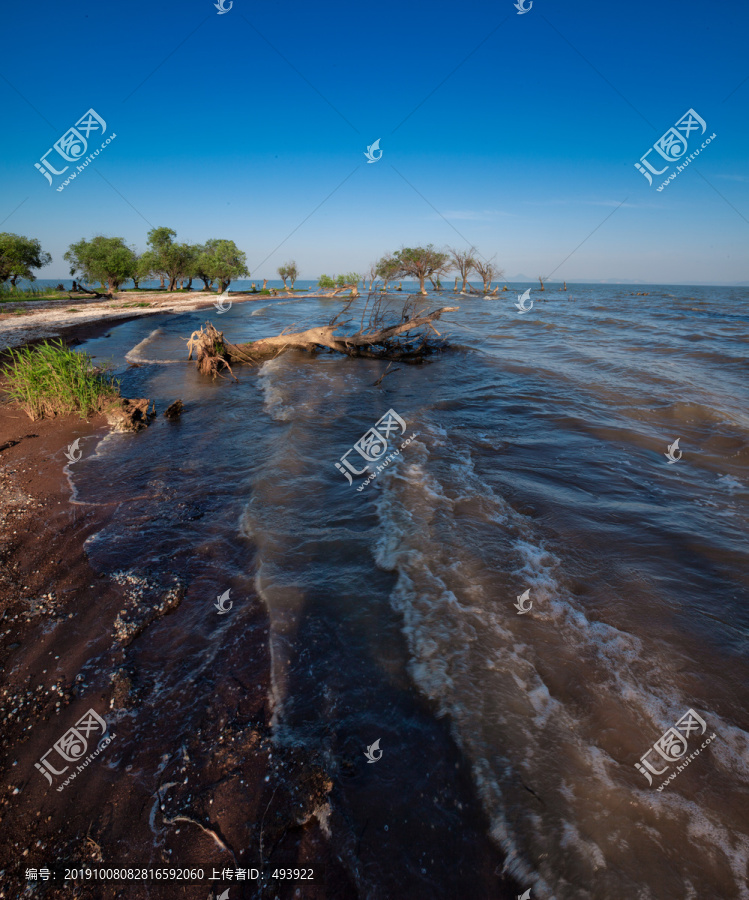 巢湖湿地风光