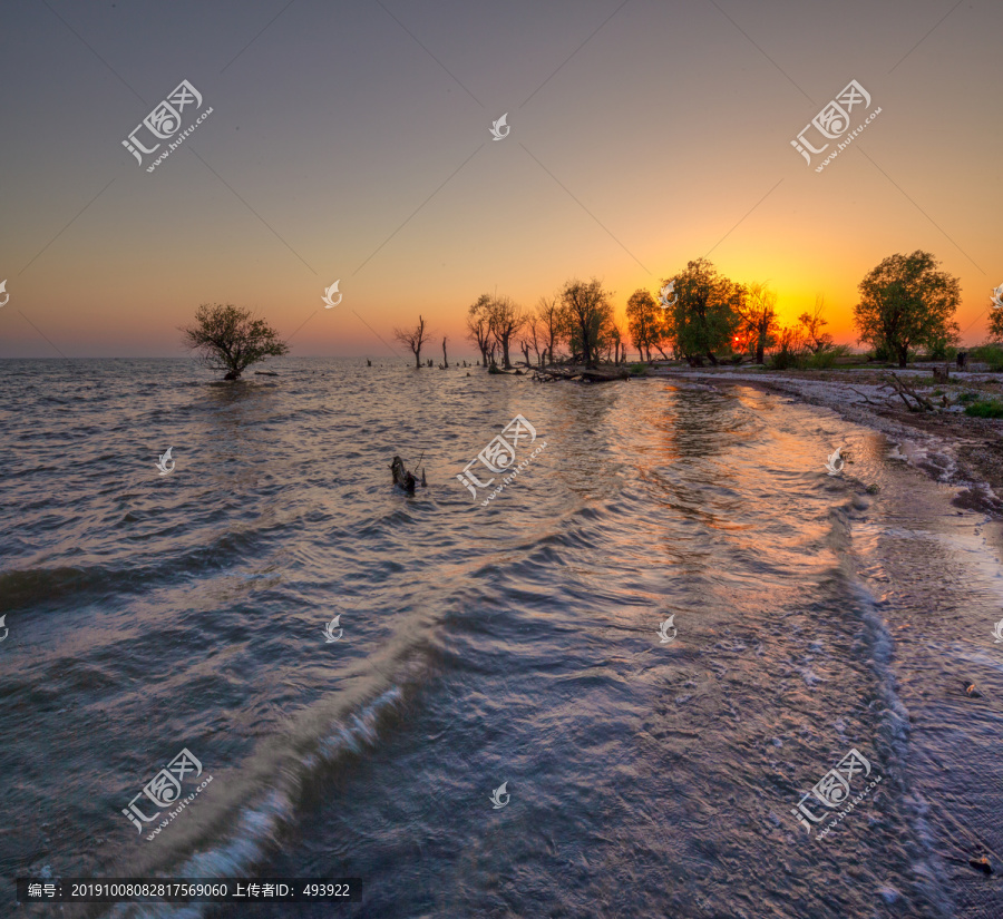 巢湖湿地风光